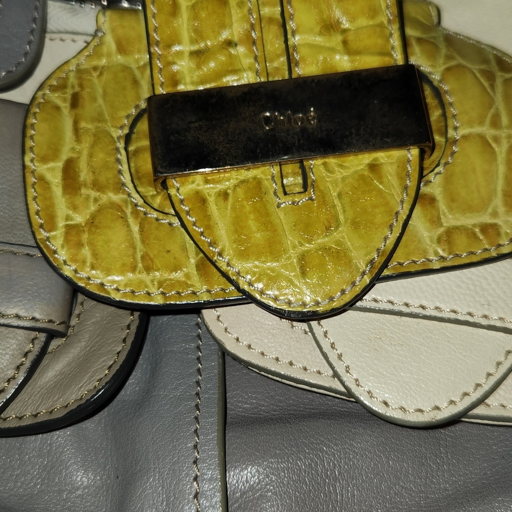 Chloe Wristlet Bag Gray Cream Snake Yellow. Leather Good Needs Some Cleaning. - Picture 6 of 16